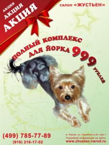 Полный комплекс для йорка 999 рублей