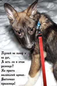 Очаровательная Софья ждет хозяина