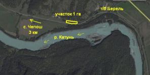 Земля в Горном Алтае. 1 Га. Цена 600 тыс. руб. Срочно.