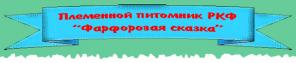 Племенной питомник РКФ “Фарфоровая сказка”.