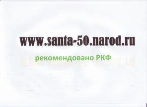 Продаются щенки пекинеса