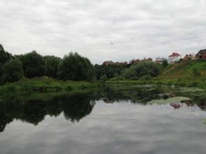 Участок 20 км от МКАД, 10 сот, старое Подольское ш.