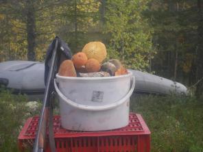 ОРГАНИЗАЦИЯ ОТДЫХА в Карелии