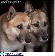 Братья-близнецы-чужие не пройдут!