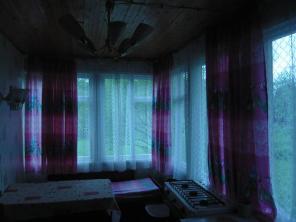 дача в лесу