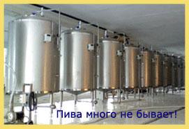   Micro brewery 