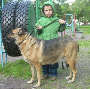 Отдам собаку. Девочка 3,5 года
