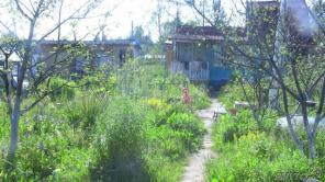 Продается дача, 6 соток. Московская обл. Лотошинский район “Павловские дачи”
