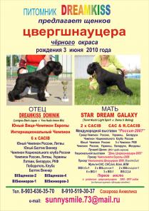 Цвергшнауцер щенки