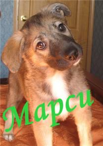 Бриджит и Марси