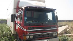  DAF 1994.