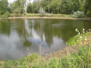 Земельный участок под ИЖС 12 соток Раменский район Новорязанское ш. 45 км от МКАД