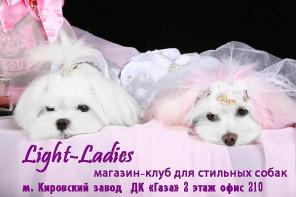 Light-Laddies магазин-клуб для стильных собак!СПБ