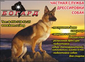 Дрессировка собак