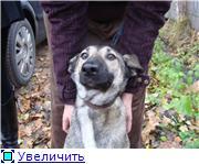 Скромная Марта