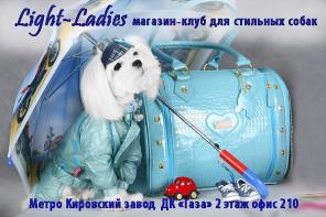 Фоосессия для собак-Не дорого