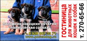 Зоогостиница для собак и кошек(г.Ростов-на-Дону)