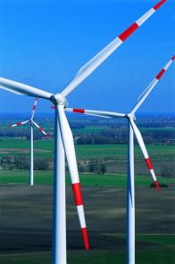 Компания Green World Group содействует в получении кредитов