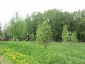 Участок 18 сот., Ленинградское ш., 35 км от МКАД, д.Хоругвино