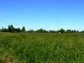Продам участок 15 соток в д. Федоровка Кимрского района