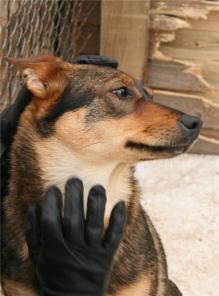   -  1    