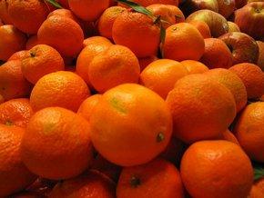 Продажа мандарин оптом в адлере