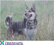 Гретта-у нее нет дома. Может кому приглянулась?