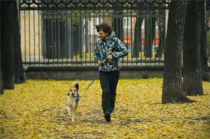 Лизонька. Собака без недостатков ищет хозяина! (СПб)
