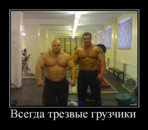 Грузчики, переезды, транспорт, такелаж, уборка/вывоз мусора, землекопы