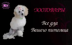 Салон "ЗооПрофи" предоставляет грумерские услуги и товары для собак и кошек