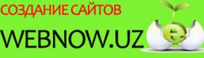 Создаем Вэб-сайты любого назначения и сложности. Быстро. Дешево. С гарантией! Все города РФ