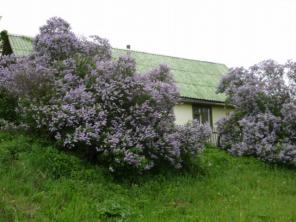 дача с участком 15 соток