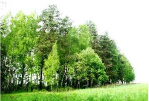 Продается земельный участок 11 соток