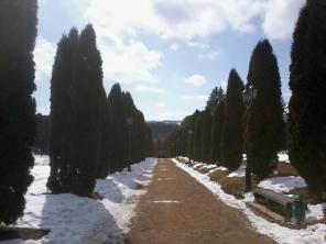 Продам 3ккв в Кисловодске.