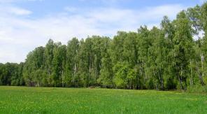 Недорогие участки в поселке, 72 км по Симферопольскому шоссе