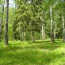 Великолепный земельный участок по новорижскому!
