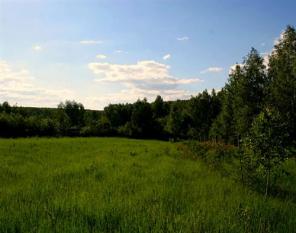Земельный участок в 76 км от МКАД по Симферопольскому шоссе