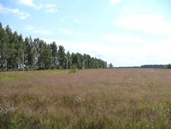 Продам участок 10 сот д.Волынщино Рузский рн 90 км МКАД Новорижское ш.