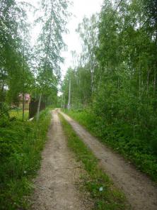 десять соток в лесу