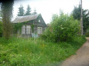 дача в лесу, рядом река