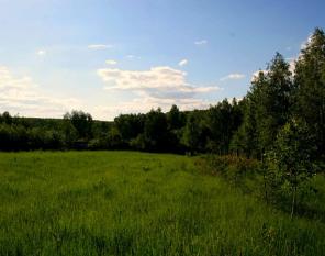 Продается земельный участок по Симферопольскому шоссе в 76 км. от МКАД
