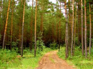 Участок 6 сот. 19 км от Мкад, 1.1 млн. руб. (+)