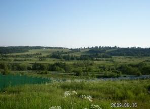 25 сот. по Ярославке в дер. Тургенево