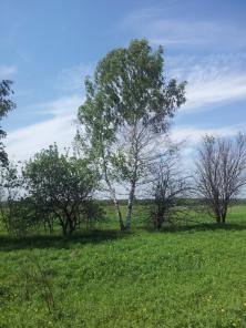 Участок 10 сот., Серпуховский район, д.Верхние Велеми