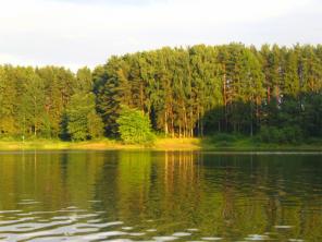 Участки на берегу истринского водохранилища