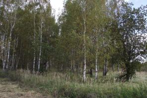 Участки 98 км в ДП \"Радужная Долина\"