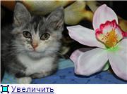 Загляните к нам ,друзья!Касеньке нужна семья!