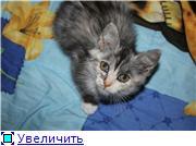 Загляните к нам ,друзья!Касеньке нужна семья!