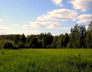 Участок 10,1 сот. в направлении Симферопольского шоссе