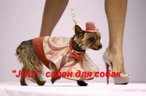 Зоотовары для собак оптом и в розницу.